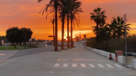 Lonely-palm-trees-at-car-parking-and-dramatic-sunset-on-the-empty-beach-in-marginal-road,-Carcavelos