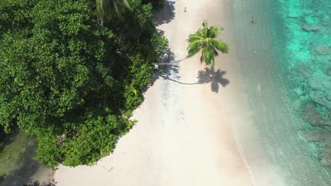 Anse-major-beach,-situated-in-the-national-park-and-marine-park-on-Mahe-island,-Seychelles