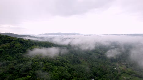 Aerial-rotating-shot-of-clouds-of-fog-lying-above-a-dense-forest