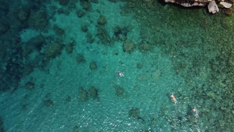 Aerial-view-of-people-snorkelling-in-crystal-clear-waters
