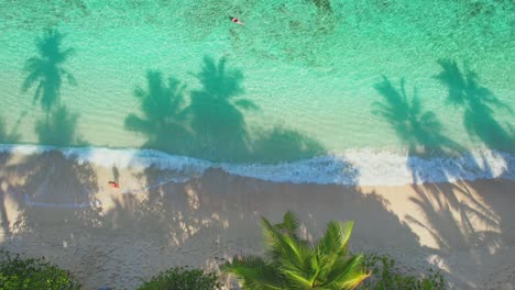Drone-shot-of-anse-forbans-a-beach-on-the-south-east-coast-of-Mahe-island-Seychelles-island