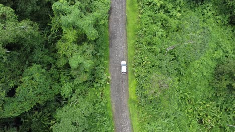 Aerial-view-of-car-in-the-middle-of-the-jungle