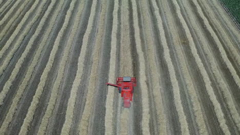 Aerial-view-of-farmer-harvesting-their-land,-moving-along-the-line-with-his-combine-harvester-machine-in-red-color