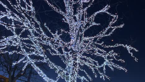 Weißes-Licht-Beleuchteter-Baum-Mit-Glühbirnen-Für-Die-Weihnachtswintersaison-Nachts