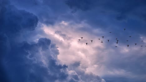 the-bird-is-migrating-across-the-dark-clouds