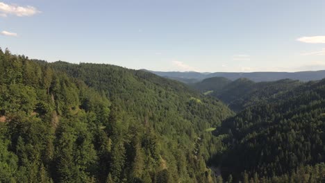 Blackforest-from-above,-aerial-pan-shot