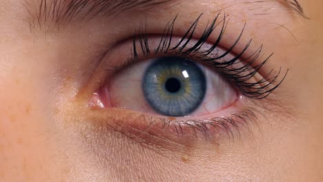 Extreme-close-up-shot-of-a-beautiful-womans-blue-eyes-while-opening-with-the-view-to-the-camera-with-reflection-from-the-light