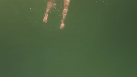 Aerial-shot-above-female-in-bikini-swimwear-blowing-kiss-and-swimming-in-beautiful-green-water-surface