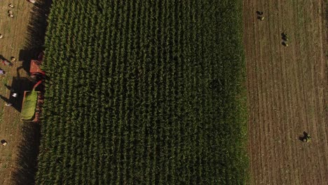 Tractor-Cultivating-Field-at-Springaerial--Top-View