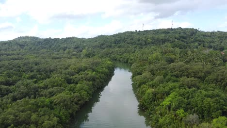 Blühende-Mangroven-Entlang-Des-Flusses-Der-Insel-Romblon-Auf-Den-Philippinen