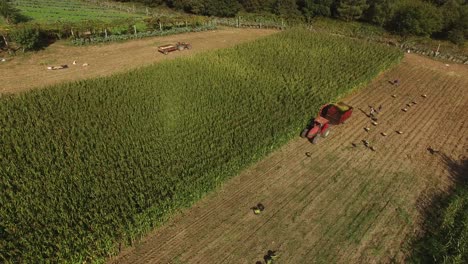 Tractor-Machine-Works-on-Farm-Field-Aerial-View