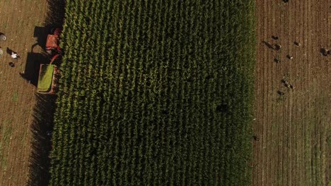 Top-View-Agricultural-tractor-cultivating-field