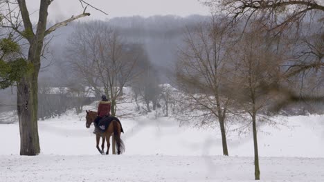 Eine-Einsame-Frau-Auf-Einem-Pferd-In-Reitkleidung-In-Einer-Winterlandschaft