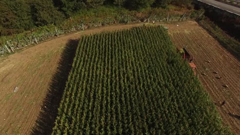 Tractor-on-Agriculture-Farm-Field-View-From-Drone