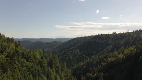 Nature-pur,-Blackforest-from-above,-aerial-dolly