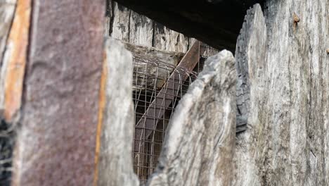 Grungy-Kaputtes-Verwittertes-Holzstrukturholz-Und-Verrostete-Beschädigte-Stahlmetallarbeiten