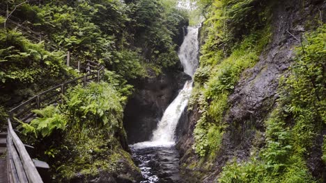 Lush-green-forest-with-big-waterfall-flowing