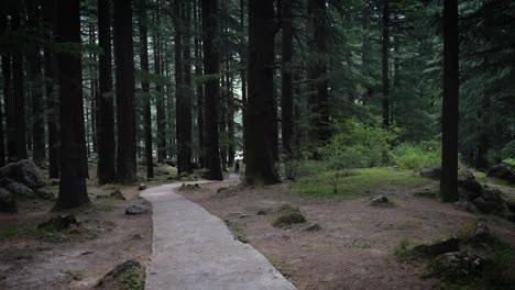 Parque-Natural-De-Manali,-Manali,-Himachal-Pradesh