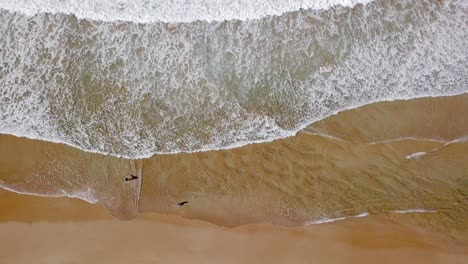 Wellen,-Die-Auf-Den-Strand-Schlagen.-Vogelperspektive-Australien