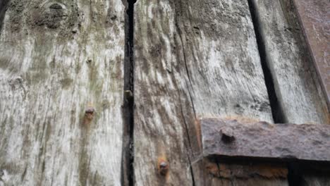 Grungy-vintage-weathered-wooden-plank-board-timber-and-rusted-steel-surface-dolly-right