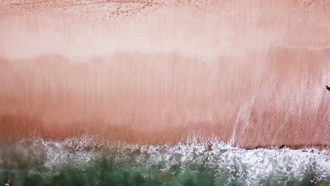 Pristine-Pink-Sand-Beach-on-Tropical-Summer-Vacation-Destination-Island,-Aerial