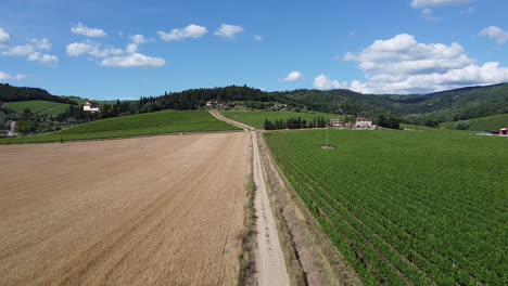 Vast-Farmland-In-Tuscany-Hill,-Italy-Under-The-Vibrant-Sunlight---tilt-up-shot