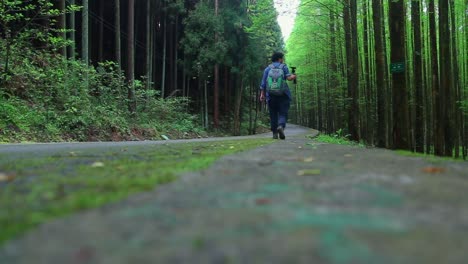 Hiking-through-a-bamboo-forest,-close-up-rear-view-of-vlogger-walking-with-backpack,-low-angle-shot