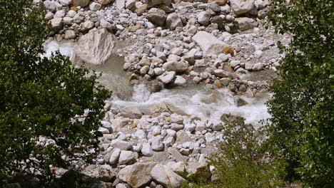 Beautiful-cinematic-shot-of-rive-Ganges-gushing-down-the-steam-from-the-origin-in-uttarakhand-region-of-India-framed-by-trees