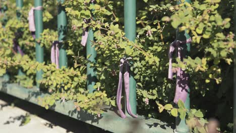 Close-up-feminism-purple-ties-tied-into-an-iron-fence