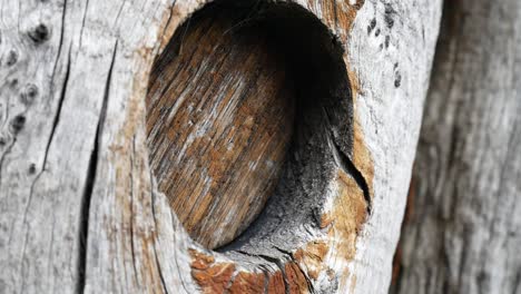 Neglected-vintage-weathered-wooden-rustic-timber-hole-blocked-in-dolly-slow-right