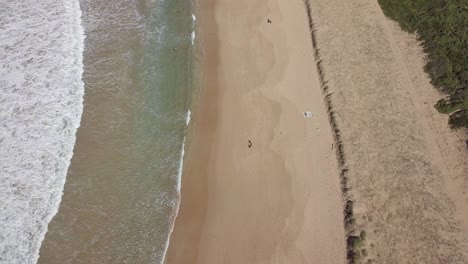 Birdseye-Auf-Einem-Natürlichen-Strand-An-Den-Nördlichen-Stränden-Von-Sydney