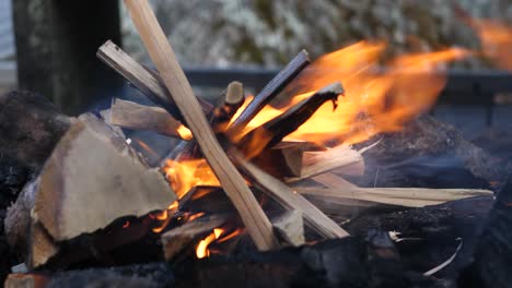 close-up-shot-of-wood-fire-starting-to-rise,-burning-away-the-tinder-and-the-small-dry-sticks-of-wood-and-twigs-and-being-agitated-by-blowing-wind-in-a-camping-environment
