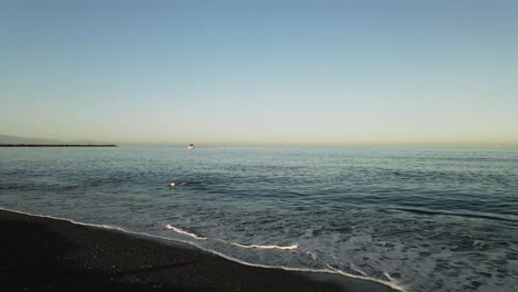 Vista-De-La-Costa-Con-Perro-Nadando-Fuera-Del-Mar