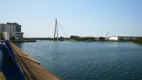 Marine-lake-bridge,-distant-shot-on-beautiful-sunny-day