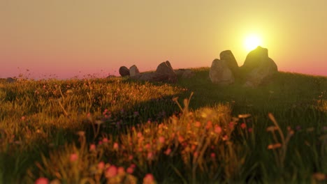 Morning-sunrise-and-breeze-blowing-over-yellow-daisies-grass-field