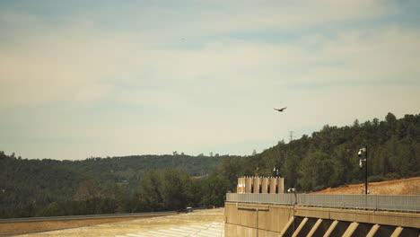 Large-bird-of-prey-flies-over-Oroville-Dam-on-hot-summer-day-in-California