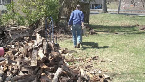A-man-walks-with-a-wheelbarrow-full-of-firewood