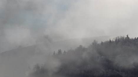 Niebla-En-Las-Montañas-Cubiertas-De-Bosques-Por-La-Mañana