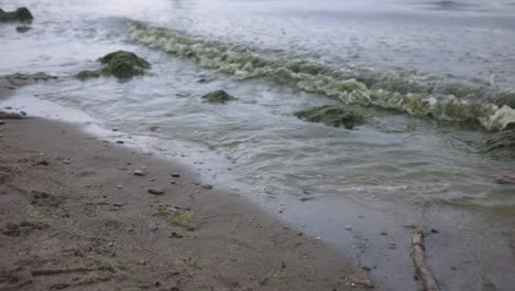 Sea-Waves-Splashing-On-Green-Algae-Washed-Ashore---close-up