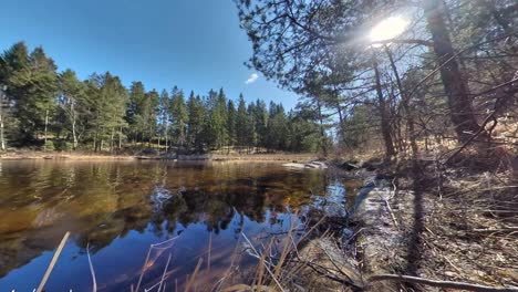 Wide-low-angle-view-of-shimmering-and-shiny-pond-in-wilderness-with-green-forest-trees-on-edge-with-bright-white-sun-in-blue-sunny-sky,-pan-right