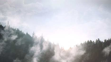 Nebel-In-Den-Bergwäldern-Und-Morgensonne
