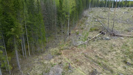 Girl-Hiking-with-Dog-At-Logging-site-in-Forest,-Aerial-Backward