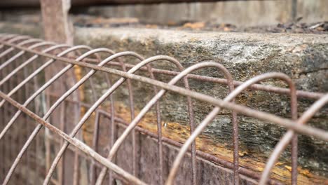 Grungy-vintage-weathered-wooden-textured-timber-and-rusted-steel-mesh-cage-dolly-right