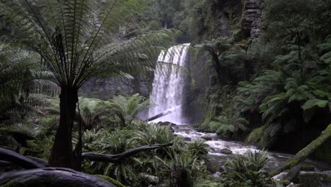 Waterfall-in-rainforest-with-large-fern