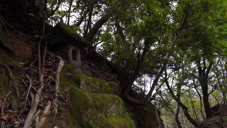 Pequeño-Santuario-Con-Musgo-En-Un-Bosque-Sagrado-En-Japón---Tiro-Medio