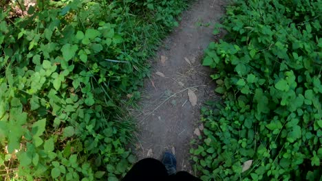 Woman-hiking-in-the-forest-wearing-black-hiking-shoes