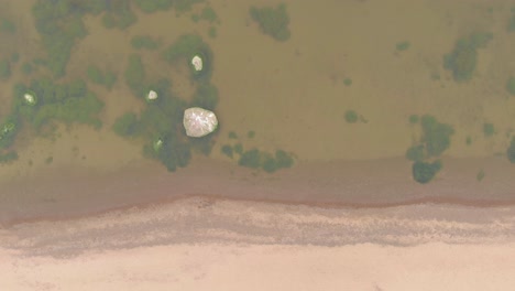 Continental-cladophora-glomerata-reefs-at-Baltic-sea-Saulkrasti-Latvia-aerial-reveal
