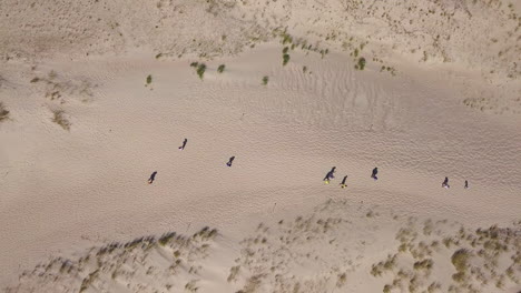 Top-down-shot-of-tourists-walking-across-the-Grey-Dunes-in-Lithuania