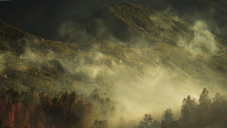 Wildfire-smoke-blowing-through-forest-valley