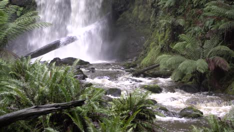 Bottom-of-waterfall-and-stream-amongst-ferns
